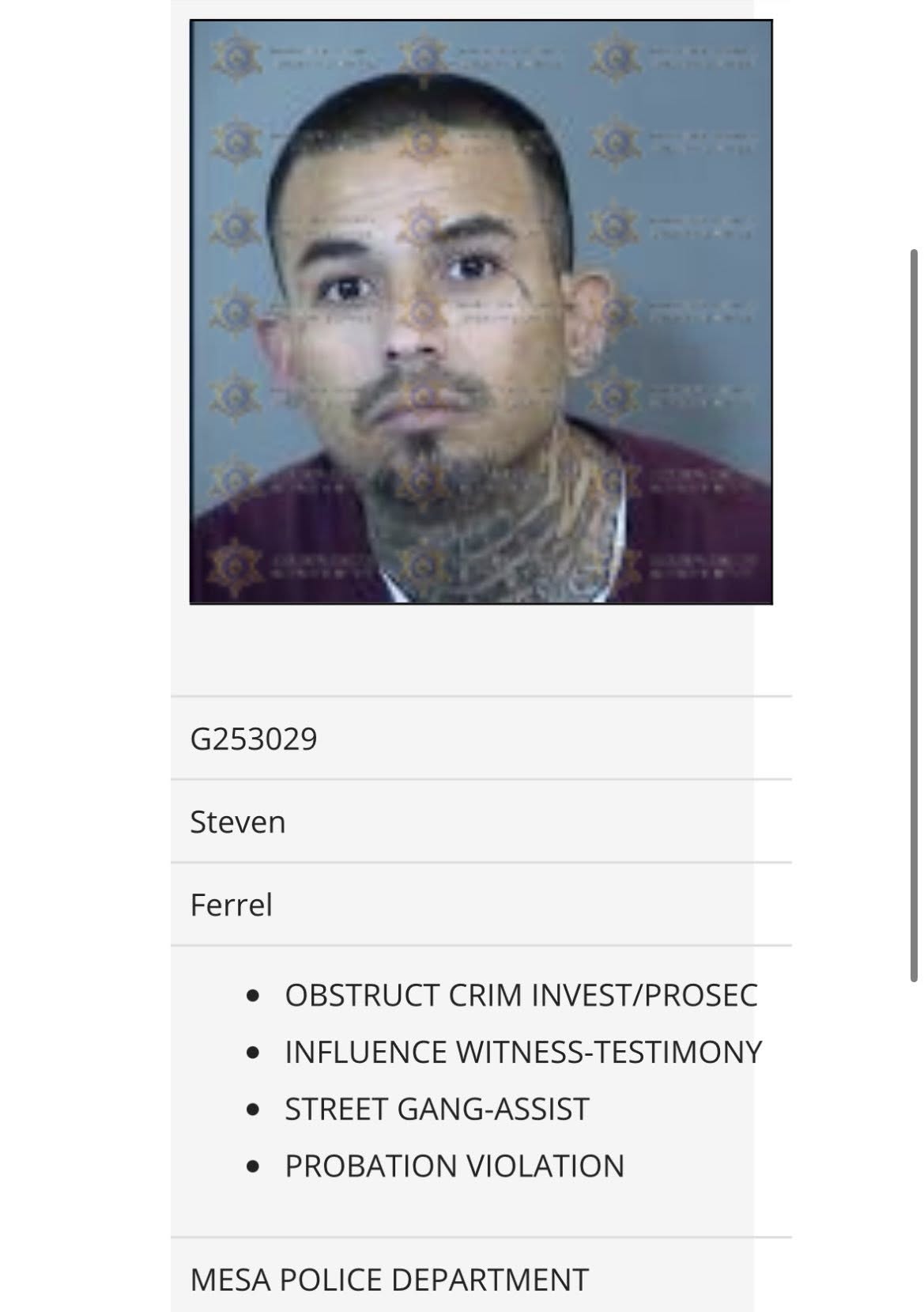 Steven Pockets Ferrel Phoenix Mugshot