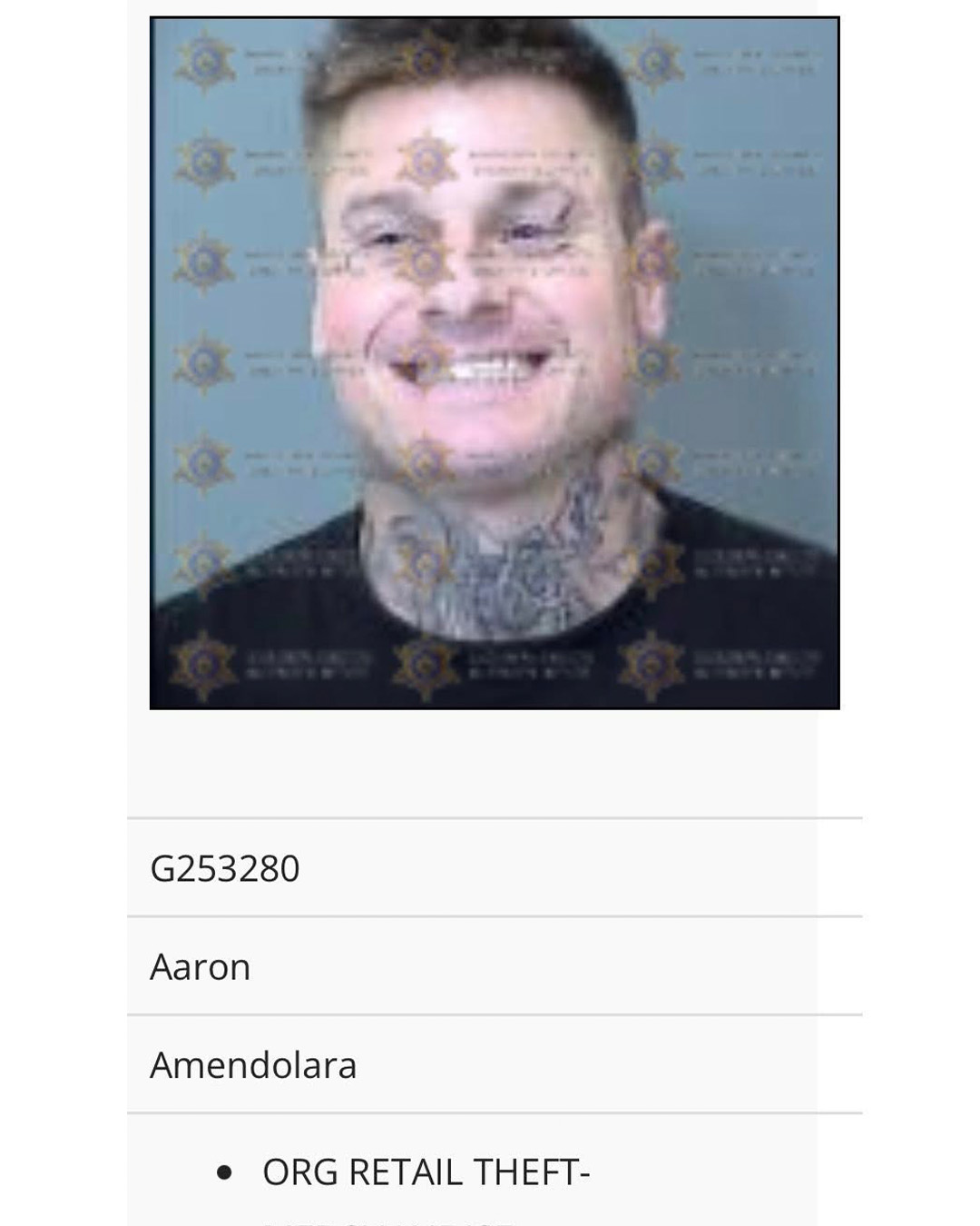 Aaron Amendolara retail theft investigation mugshot